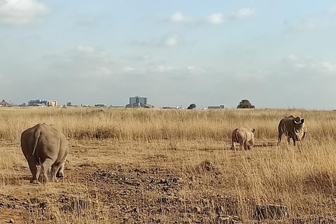 Nairobi National Park Morgenpirschfahrt mit kostenloser Abholung