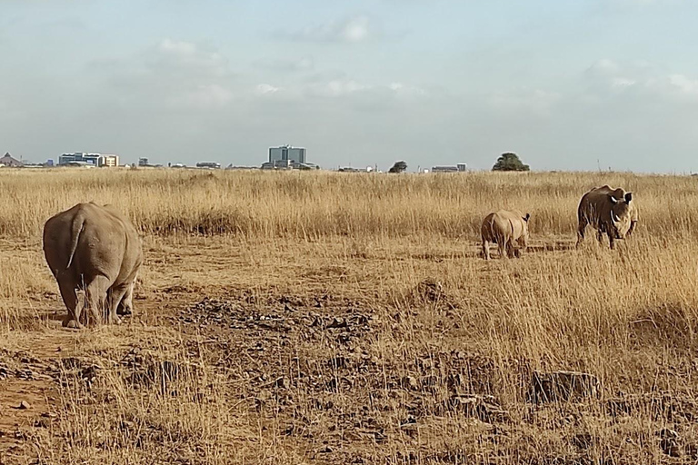 Nairobi National Park Morgenpirschfahrt mit kostenloser Abholung