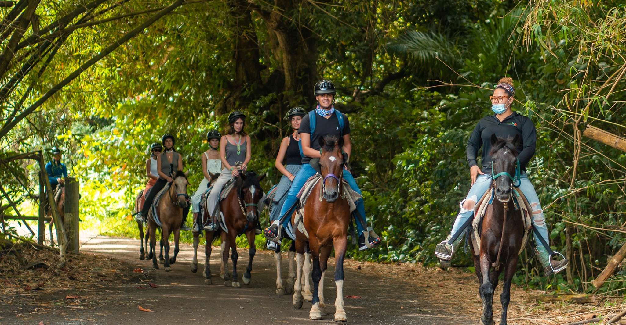 Carabalí Rainforest Park, Rainforest Horseback Riding Tour - Housity