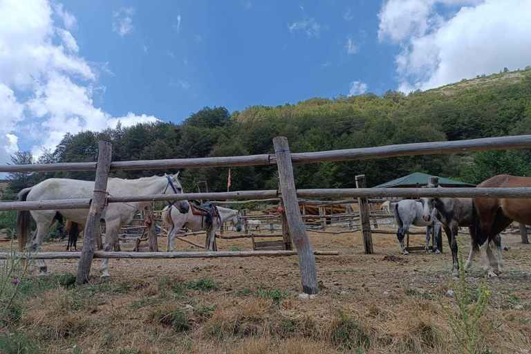 National Park Mavrovo from Ohrid
