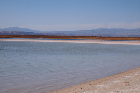 CEJAR LAGOON, SALT FLAT EYES AND TEBINQUINCHE LAGOON