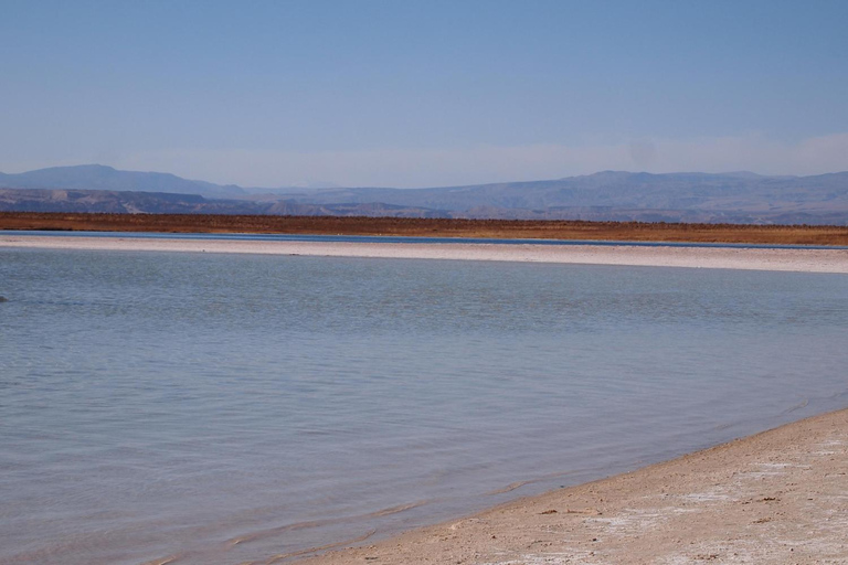 CEJAR LAGOON, SALT FLAT EYES AND TEBINQUINCHE LAGOON