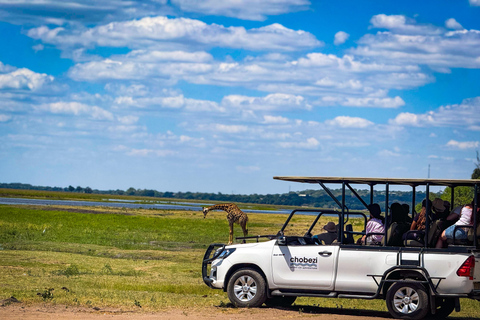 Desde las cataratas Victoria Excursión de un día a Chobe, Botsuana