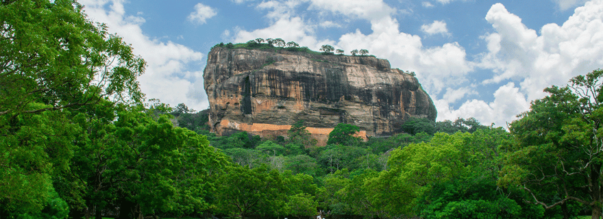 Sigiriya : Rocher du Lion et safari à Minneriya, visite privée d'une jounée