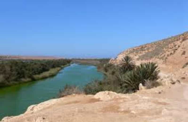 From Agadir: Massa Day Trip With Lunch & 4x4 | GetYourGuide