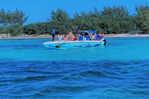 Meilleur tour ! Trois arrêts - Plongée en apnéeTout compris : Excursion sur le récif de l'île Rose avec masque et tuba et plage