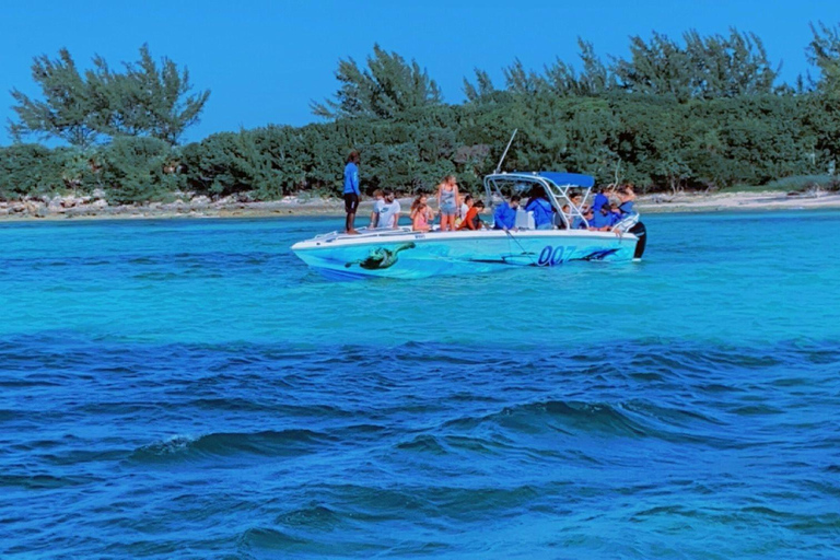 007-Mañana Todo Incluido Nadar con Cerdos en la Isla Rosa007 Todo Incluido-Nadar con cerdos en la Isla Rosa