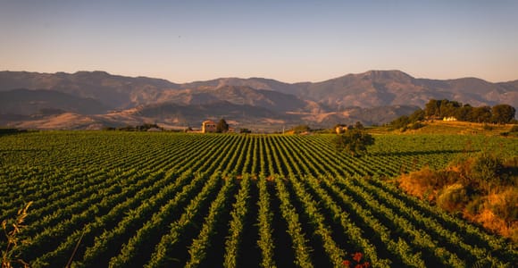 Mount Etna Tour with Lunch and Wine Tasting in a Winery.