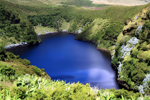 Flores Island: Half-Day Guided Tour of Lagoons, Waterfalls, and Viewpoints Flower Island: Half-Day Guided Tour to Lagoons, Waterfalls, and Viewpoints