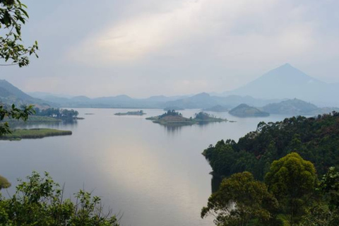 From Kigali: Gorilla Trekking in Uganda and Lake Burera Tour Kigali: Gorilla Trekking in Uganda and Lake Burera Boat Ride