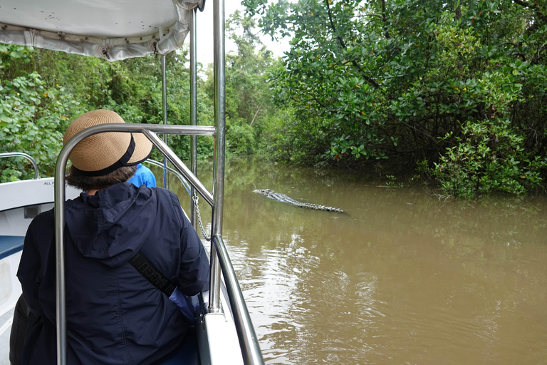 Private Daintree Rainforest and Wildlife half day Tour