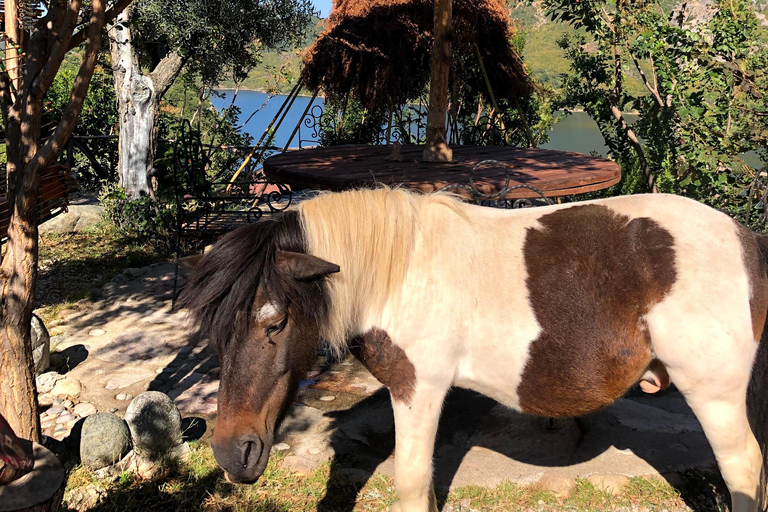 Hidden Fjords of Albania: Private Komani Lake & Shala Escape