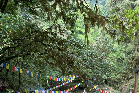 Day Hike in Kathmandu