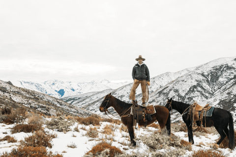 Hanmer Springs: Epic Half-Day Horseback Trekking in St James