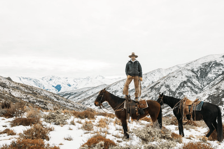 Hanmer Springs: Epic Half-Day Horseback Trekking in St James