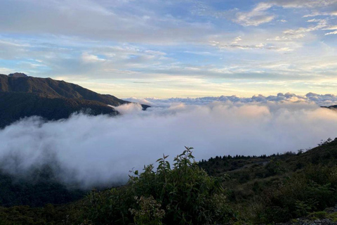 Manu: 8-Day Amazon Wildlife & Jungle Expedition