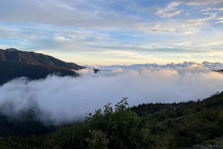 Manu: 8-Day Amazon Wildlife & Jungle Expedition