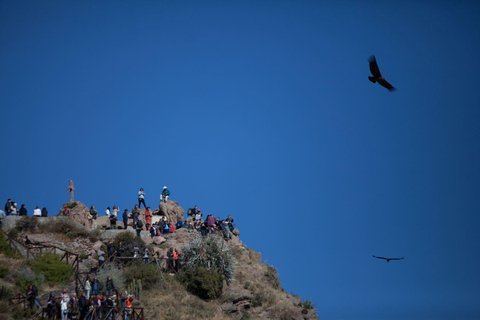 Colca Canyon Excursie 2 Dagen met Einde in Puno