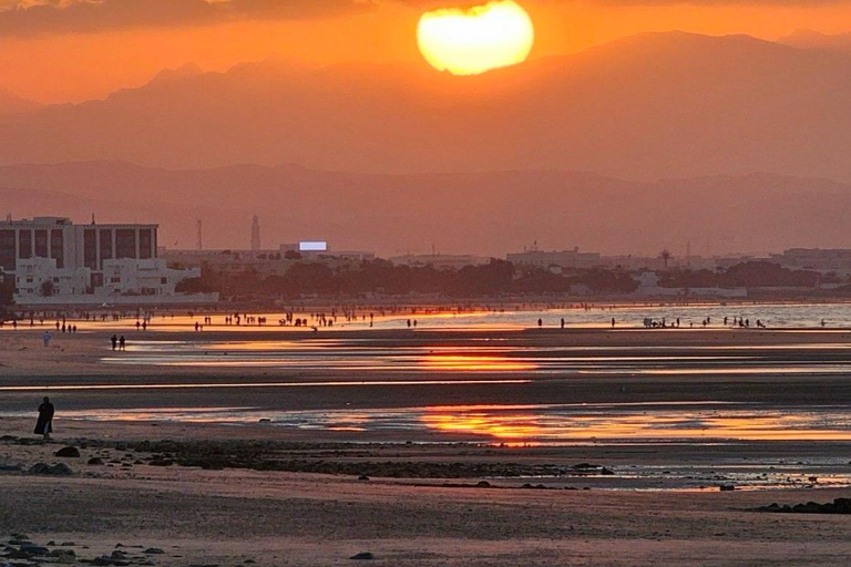 Muscat: City Tour with local guide and Pickup & drop off