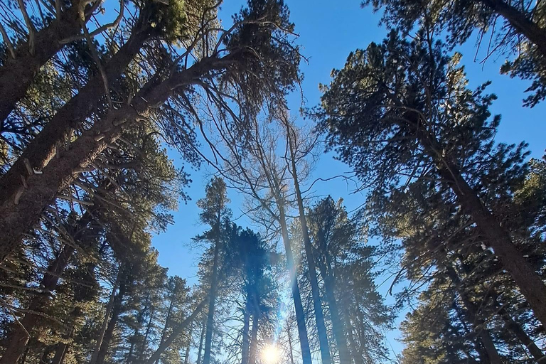 Ulaanbaatar: Caminhada na Montanha Bogd Khan com visita ao mosteiro