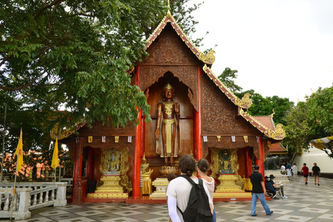 Chiang Mai: 4-timmars rundtur med Doi Suthep, Wat Umong och Wat Phalat