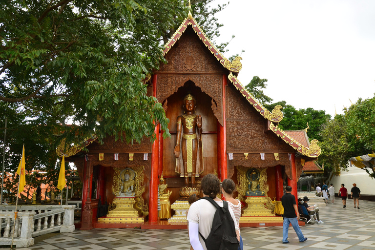 Chiang Mai: 4-godzinna wycieczka do Doi Suthep, Wat Umong i Wat Phalat