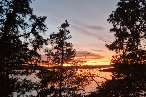 Oslo: Malmøya Island Guided Hike with Waffle and Drink