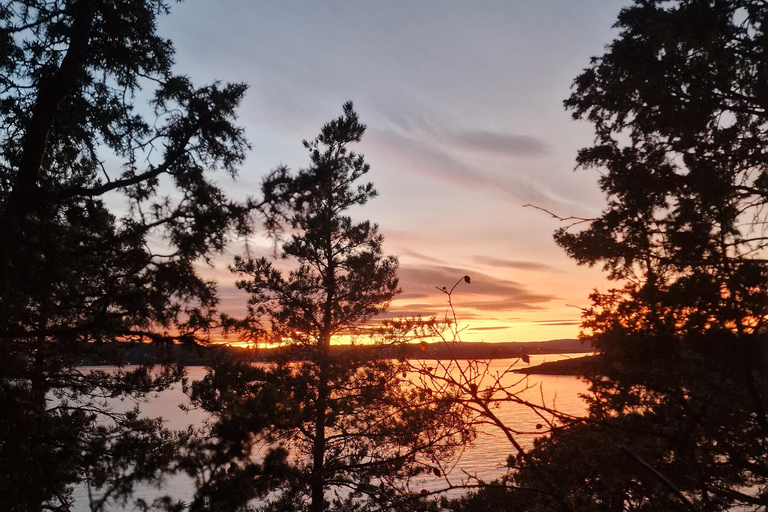 Oslo: Malmøya Island Guided Hike with Waffle and Drink