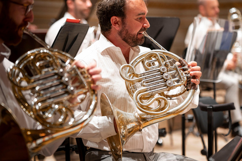Switzerland: Swiss National Orchestra Concert Experience