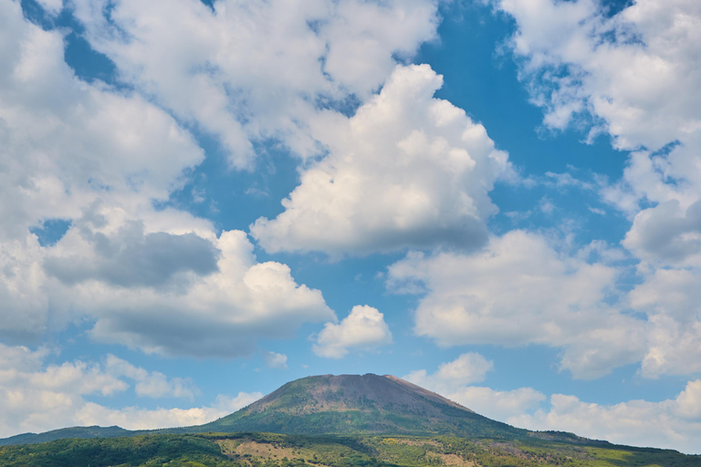 Från Neapels hamn: Pompeji och Vesuvius dagsutflykt