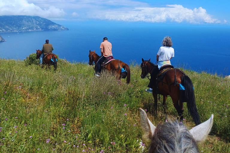 Sorrento: 3-godzinna przejażdżka konna po półwyspie Sorrento