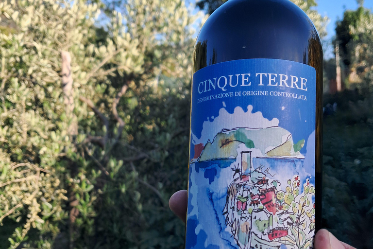 Vernazza: Olive Grove Tour and 5 Terre Olive Oil and Wine Tasting Vernazza (5 Terre): olive grove tour and oil and wine tasting