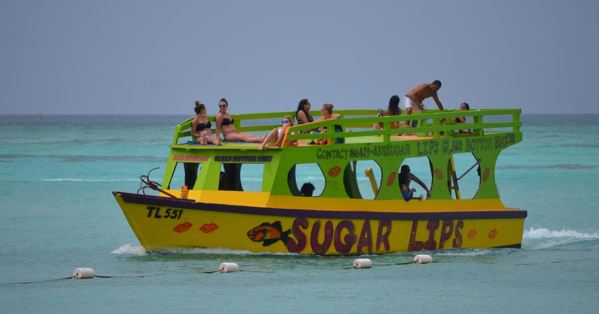 Tobago: Glasbodenboot & Highlights Tour | GetYourGuide