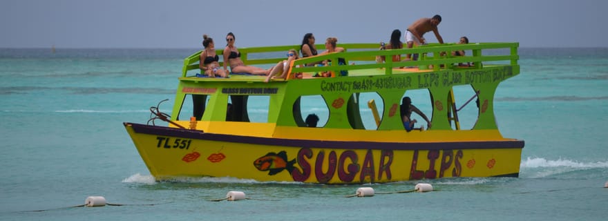 Tobago : Bateau à fond de verre et visite guidée