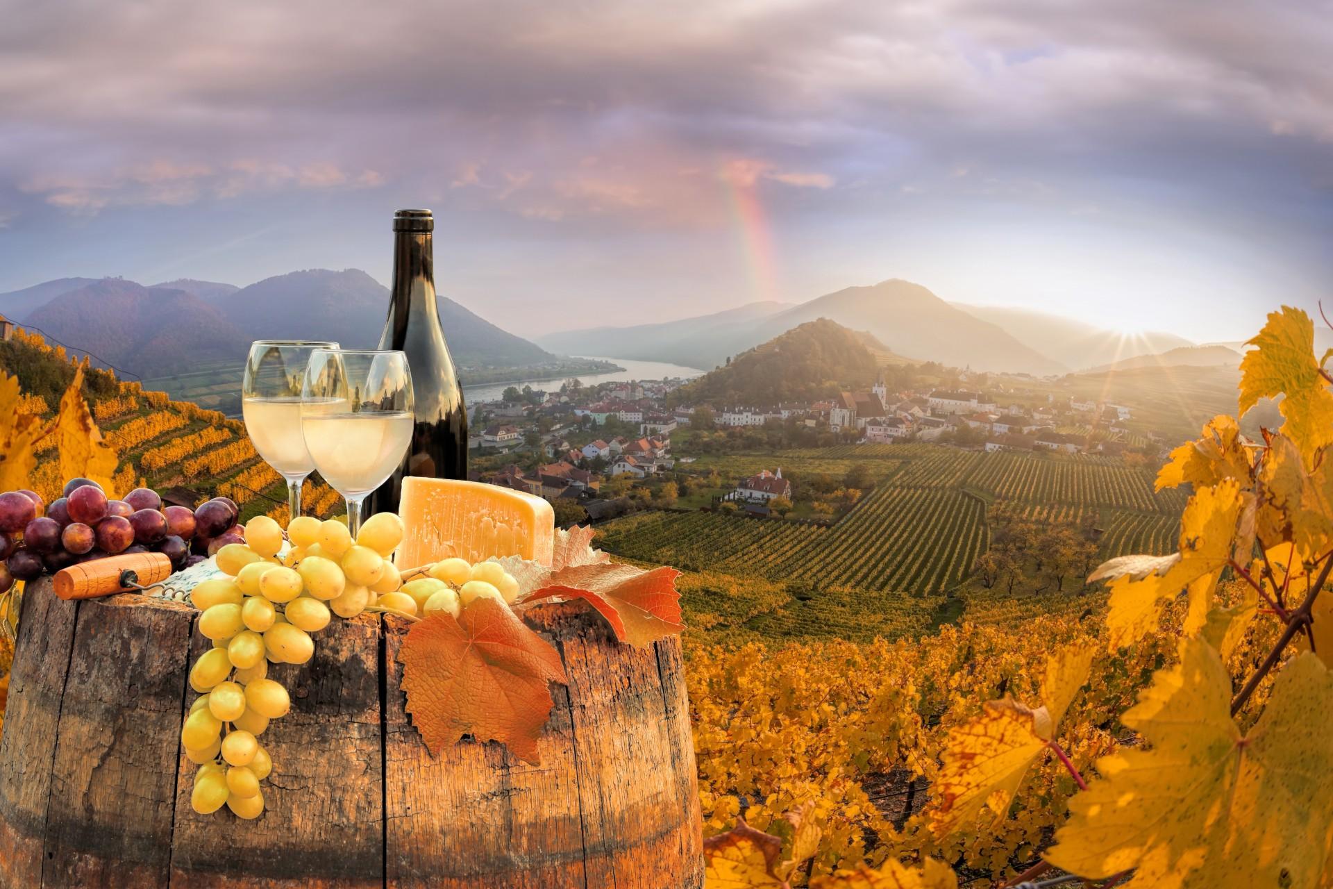 Wien: Melk, Wachau Wein, Niederösterreich Tagesausflug mit dem Auto