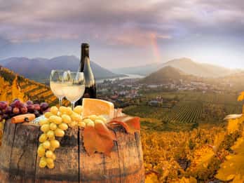 Wien: Melk, Wachau Wein, Niederösterreich Tagesausflug mit dem Auto
