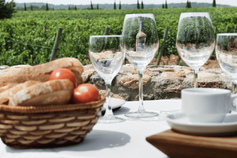 Empordà: Visit Celler La Vinyeta with wine tasting Empordà: Visit Celler La Vinyeta with a wine tasting