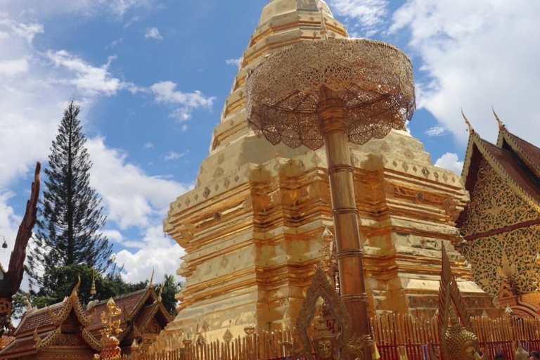 Chiang Mai: Wat Pha Lat &amp; Wat Phra That Doi Suthep-turGruppresa med upphämtning från hotell