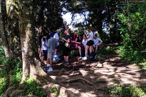 Från Yogyakarta: Mount Merbabu Endags vandringstur