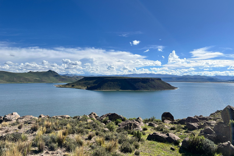 Puno : Explorer Sillustani &quot;Un voyage dans l&#039;histoire pré-inca&quot;.