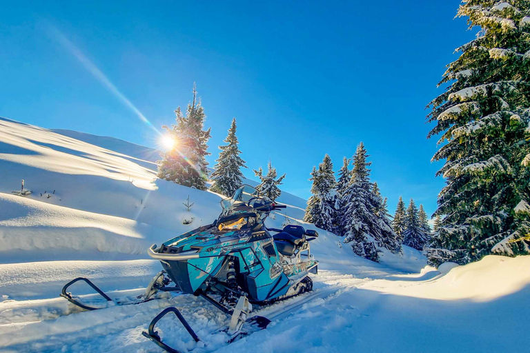 Snowmobile Tour In Bucegi Mountains Guided Snowmobile Tour