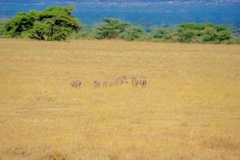 Samburu National Reserve 3-Day Safari from Nairobi