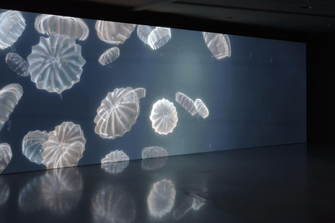 Pałac Dożów w Genui: bilet wstępu na wystawę Moby Dick – Wieloryb.Pałac Dożów w Genui: wystawa Wieloryb Moby Dick.