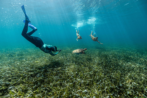 Esperienza di snorkeling in barca 5 in 1 a Cancun