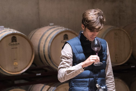 Valencia: tour dei vigneti, degustazione di vini locali e aperitivoValencia: tour dei vigneti, degustazione di vini locali e stuzzichini