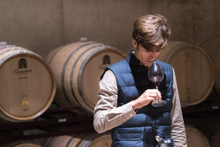 Valencia: tour dei vigneti, degustazione di vini locali e aperitivoValencia: tour dei vigneti, degustazione di vini locali e stuzzichini