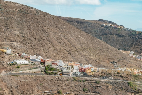 Vanuit Zuid-Tenerife: bezoek aan La GomeraVanuit Zuid-Tenerife: eilandtour La Gomera