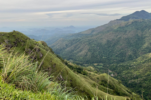 From Nuwara Eliya: Ella City Tour with Little Adam's Peak
