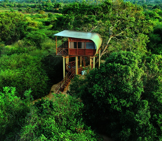 Overnight Treehouse Safari at Yala National Park