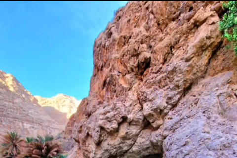 Visite du Wadi Shab